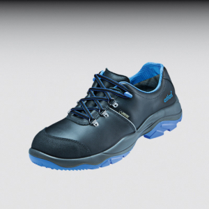 Schuhe GTX 563 Gr. 38 S3